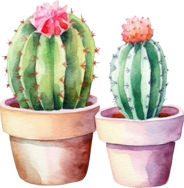 Cactus Watercolor Illustration